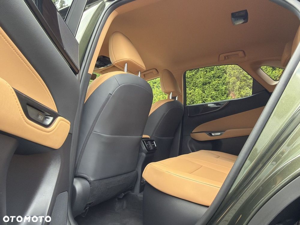 Lexus NX - 16