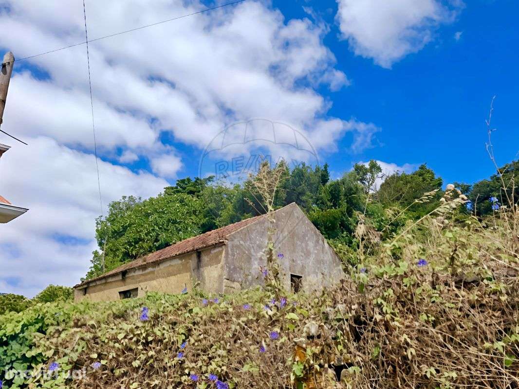 Armazém  para venda - Grande imagem: 3/7