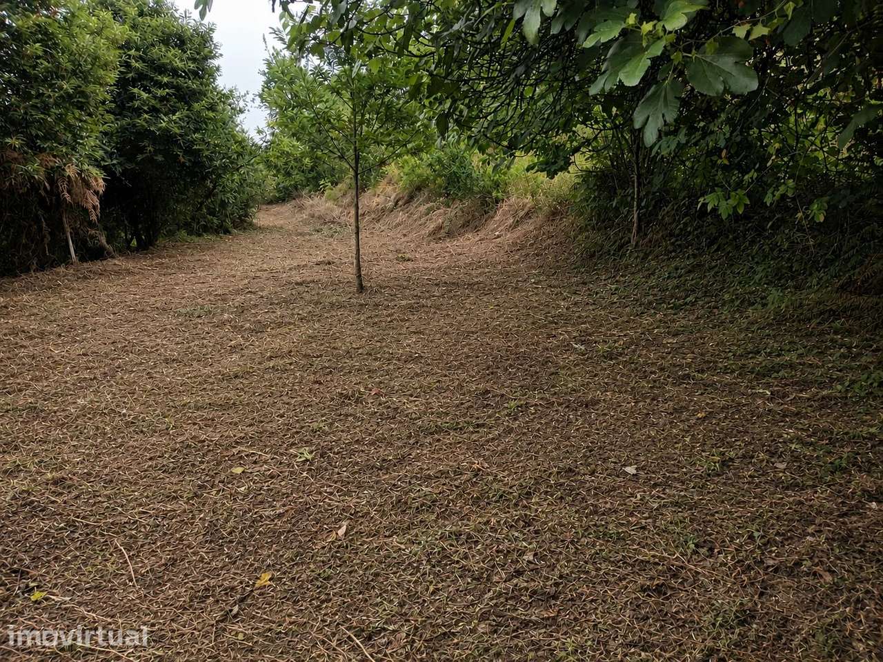 Terreno Grovelas, Ponte da Barca - Grande imagem: 2/11