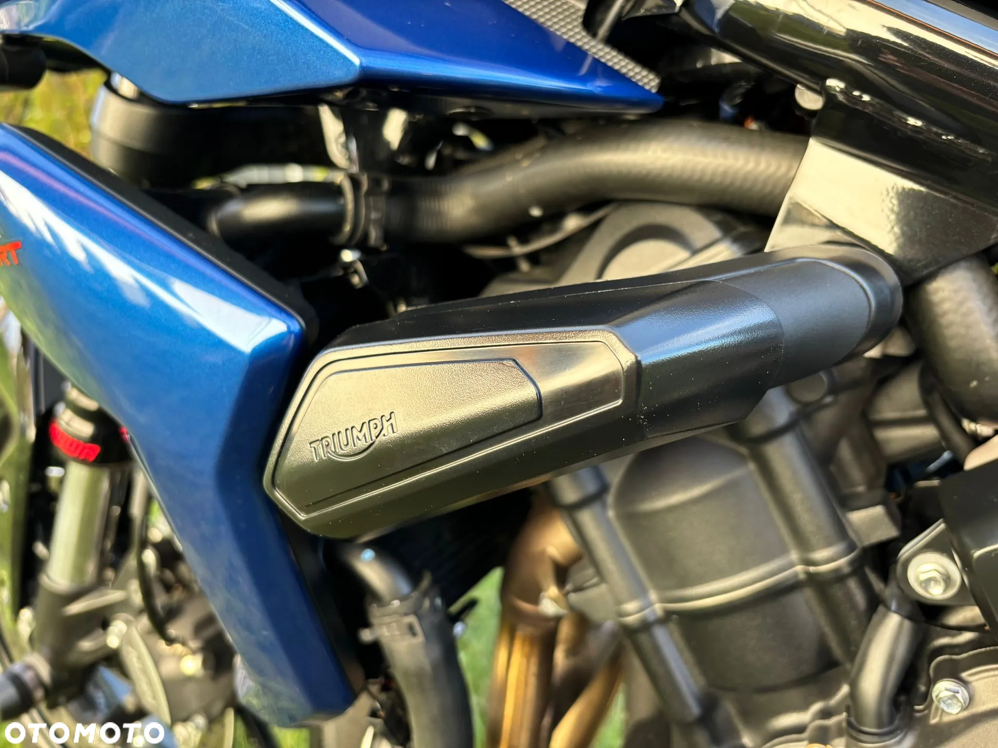 Triumph Tiger - 14