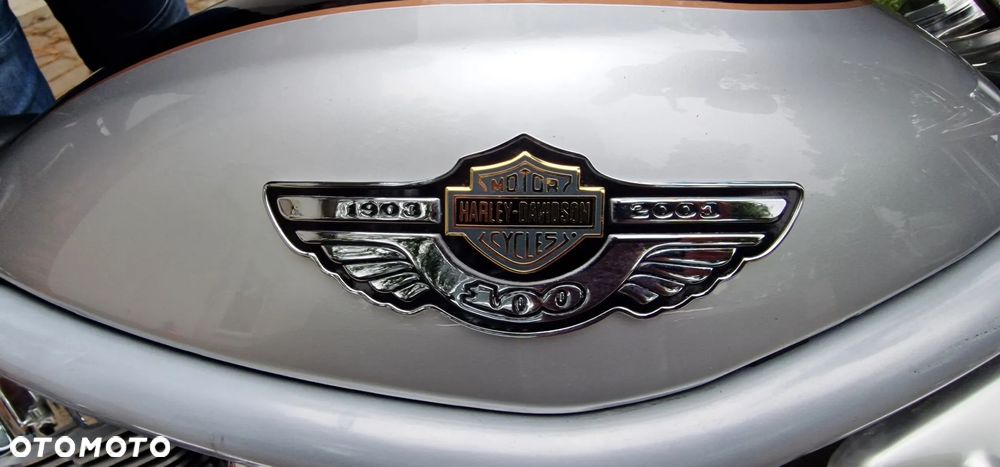 Harley-Davidson V-Rod Street Rod - 7