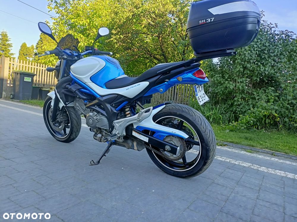 Suzuki Gladius - 10