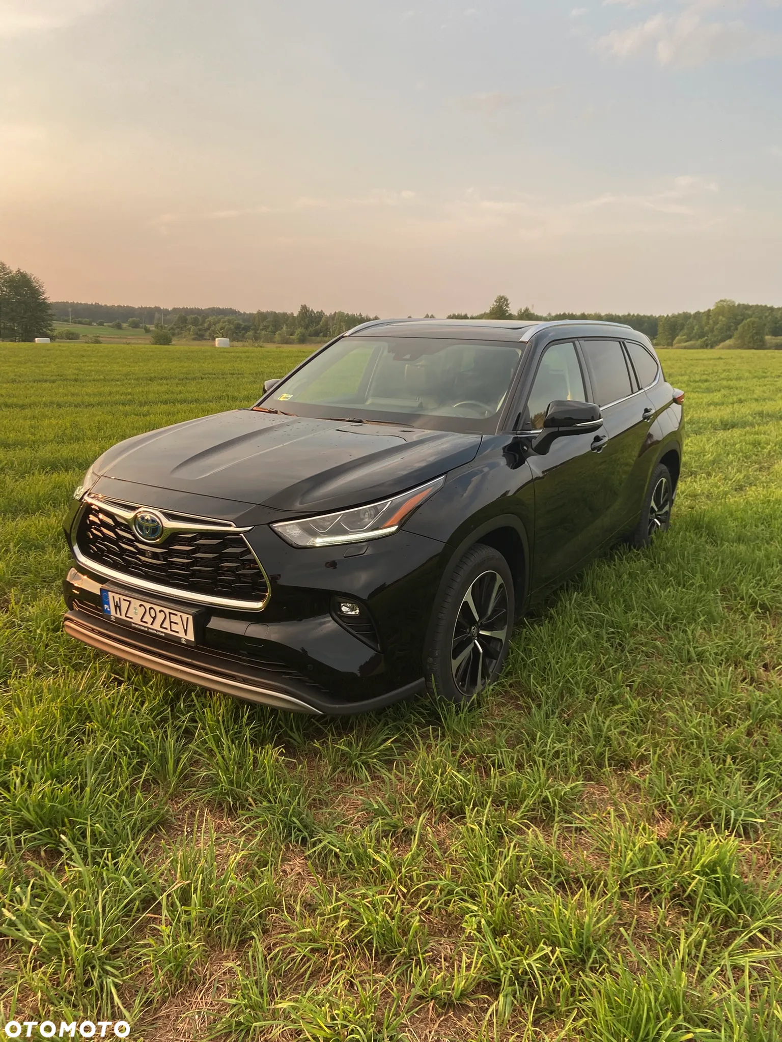 Toyota Highlander 2.5 Hybrid Executive - 2