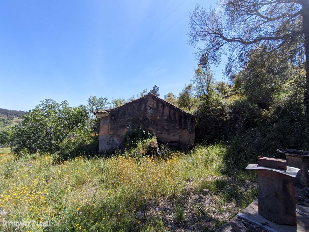 Moradia Devoluta  Venda em Aldeia do Mato e Souto,Abrantes - Grande imagem: 5/24