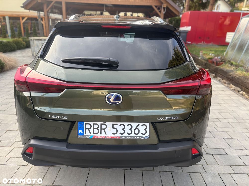 Lexus UX 250h Prestige 2WD - 15