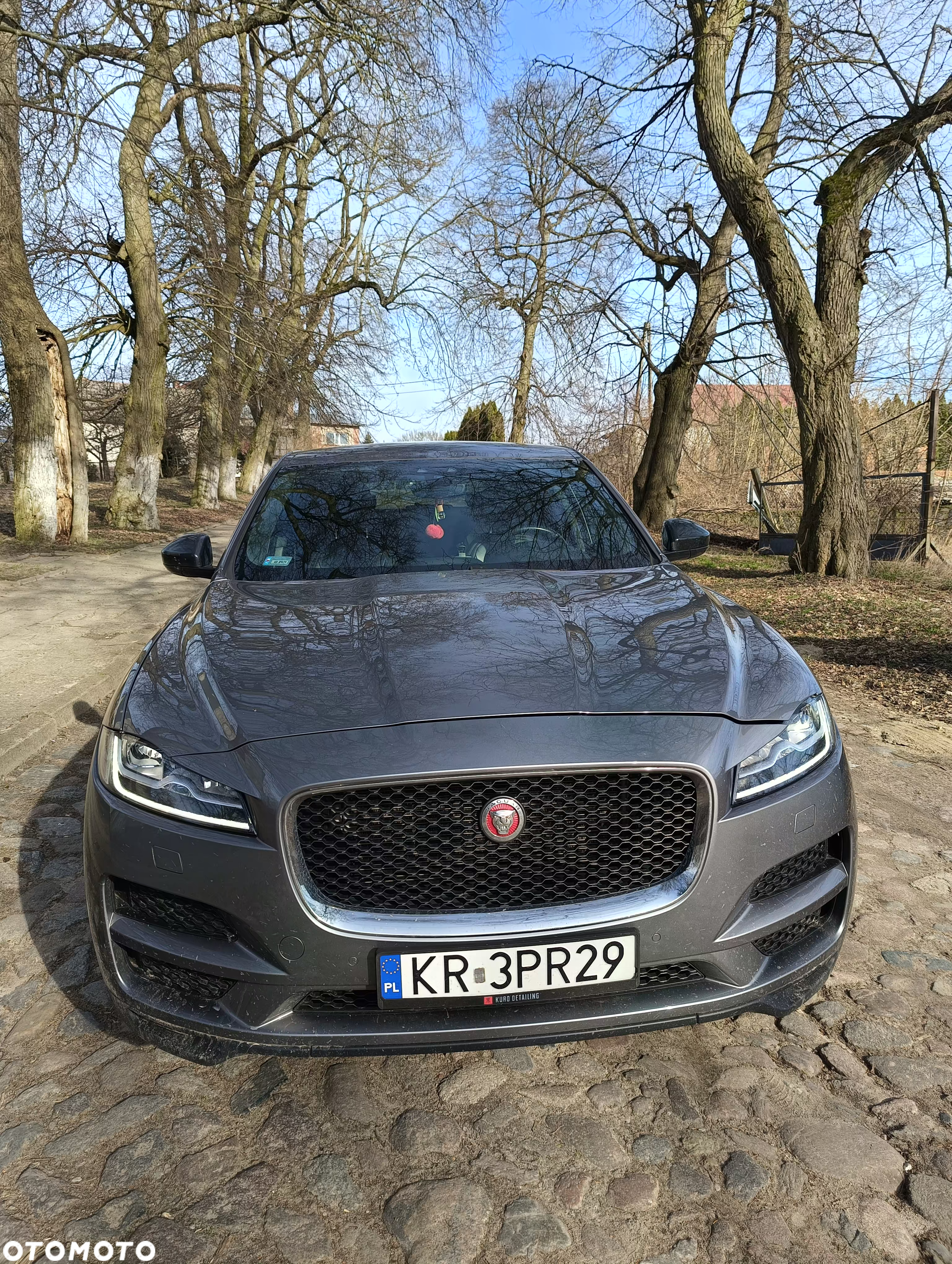 Jaguar F-Pace 2.0 i4D AWD Prestige - 2