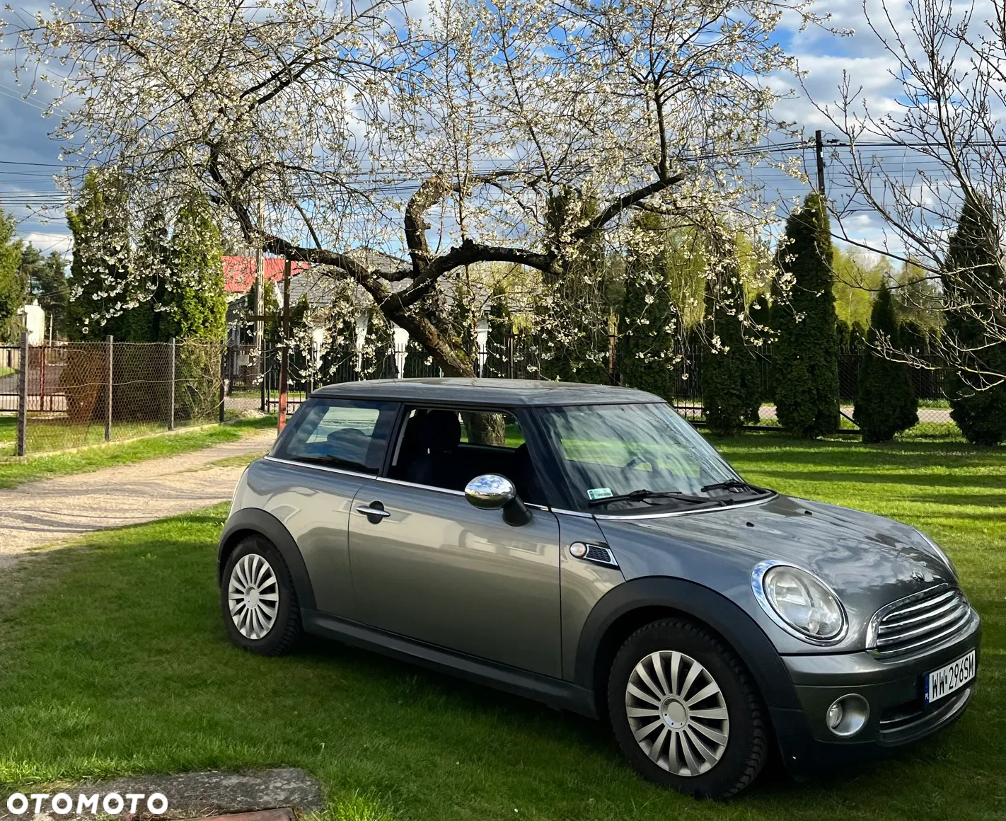 MINI ONE Standard - 2
