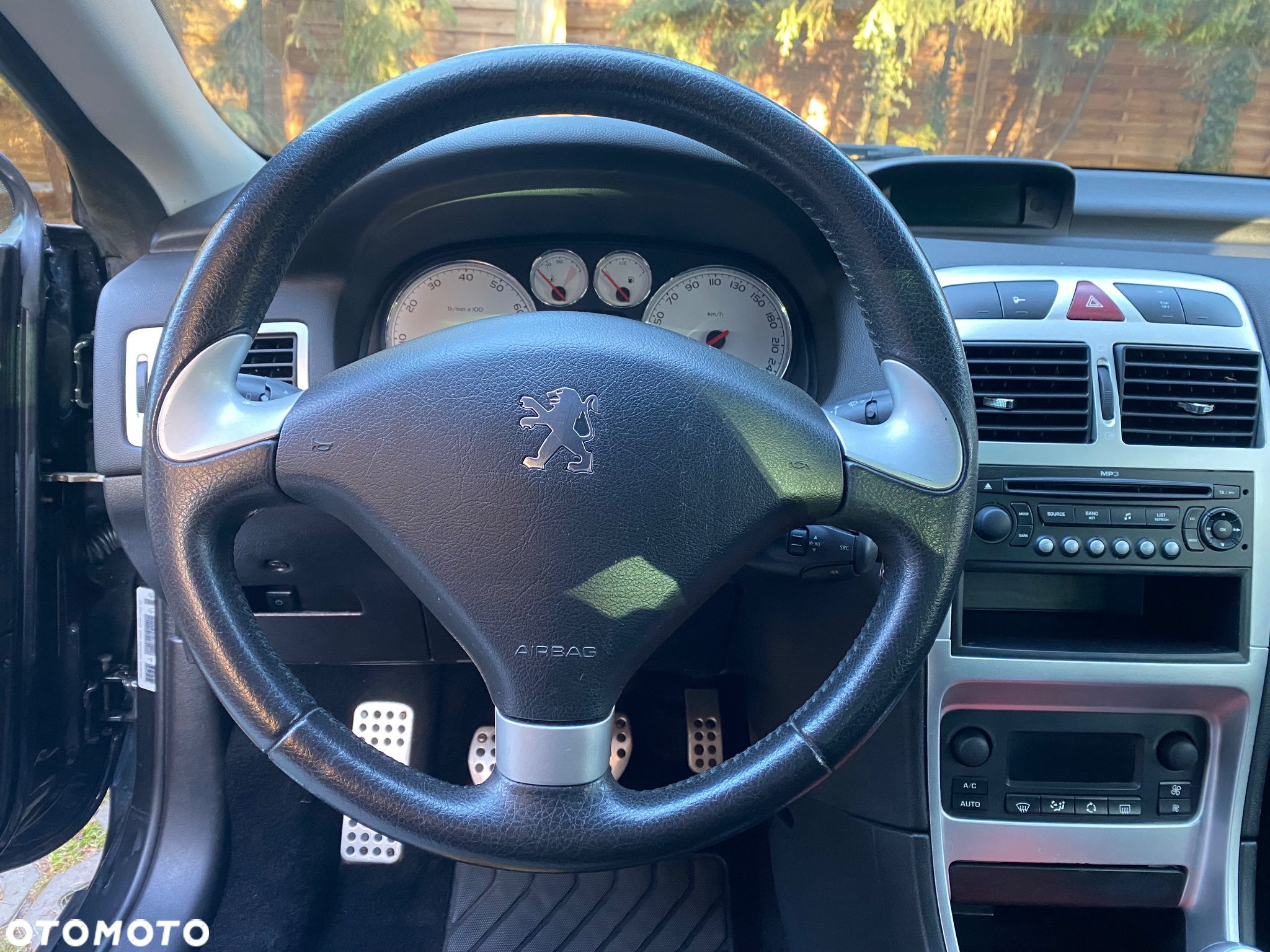 Peugeot 307 CC 2.0 Intense - 23