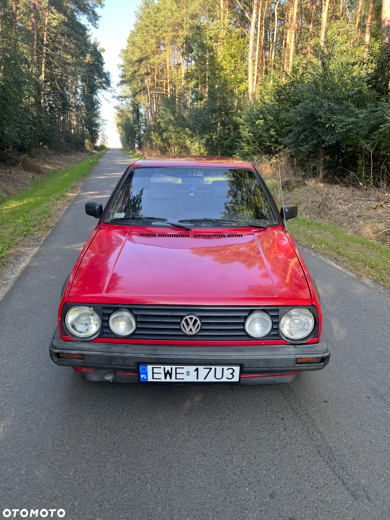 Volkswagen Golf 1.6 CL TDLLK TD - 10