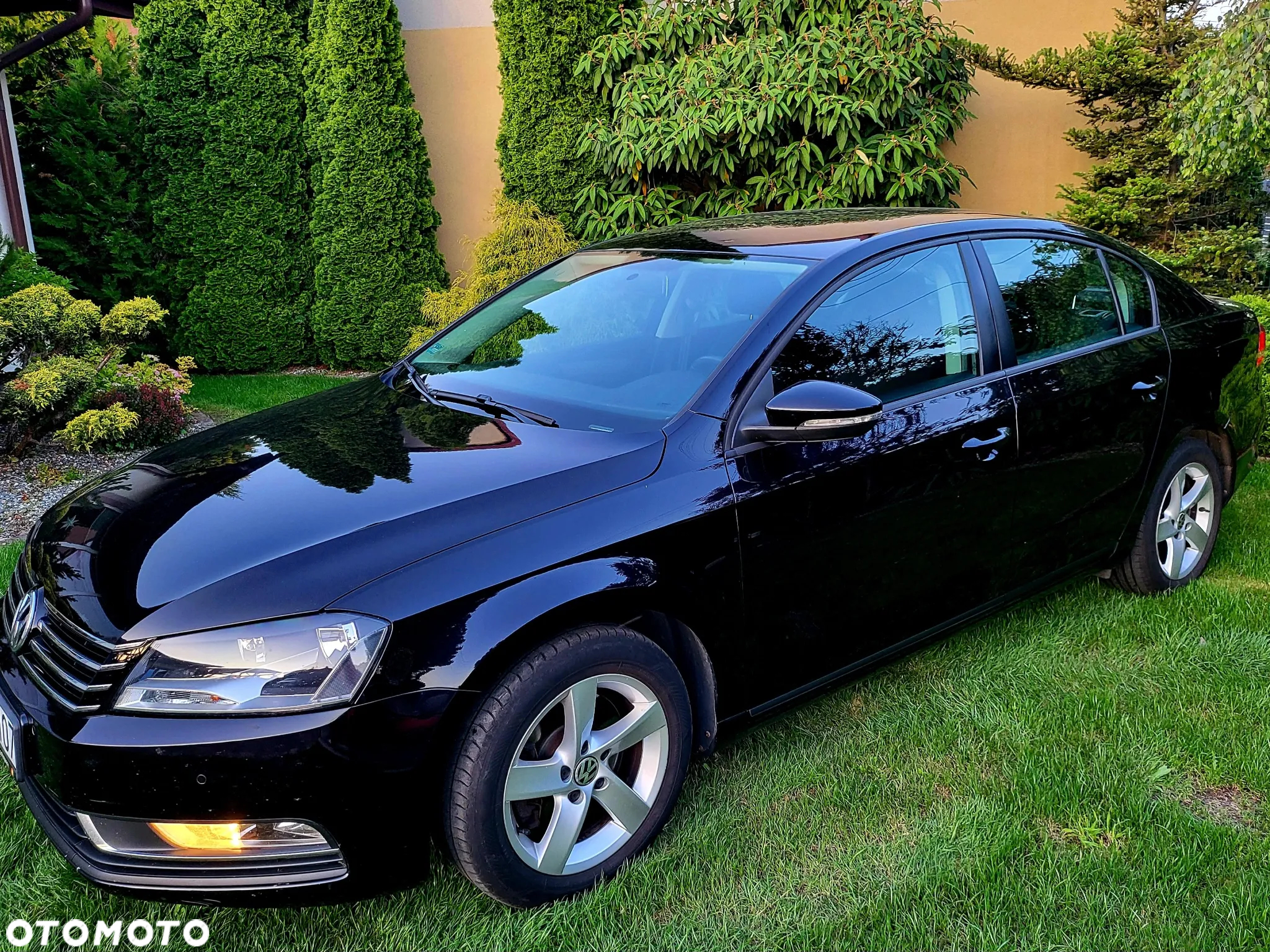 Volkswagen Passat - 2