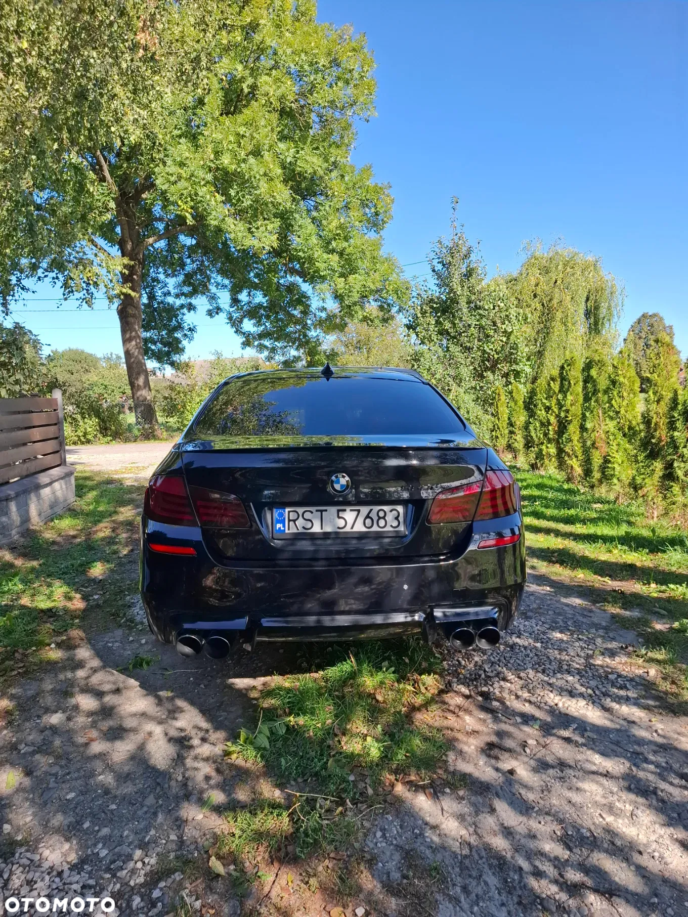 BMW Seria 5 550i - 3