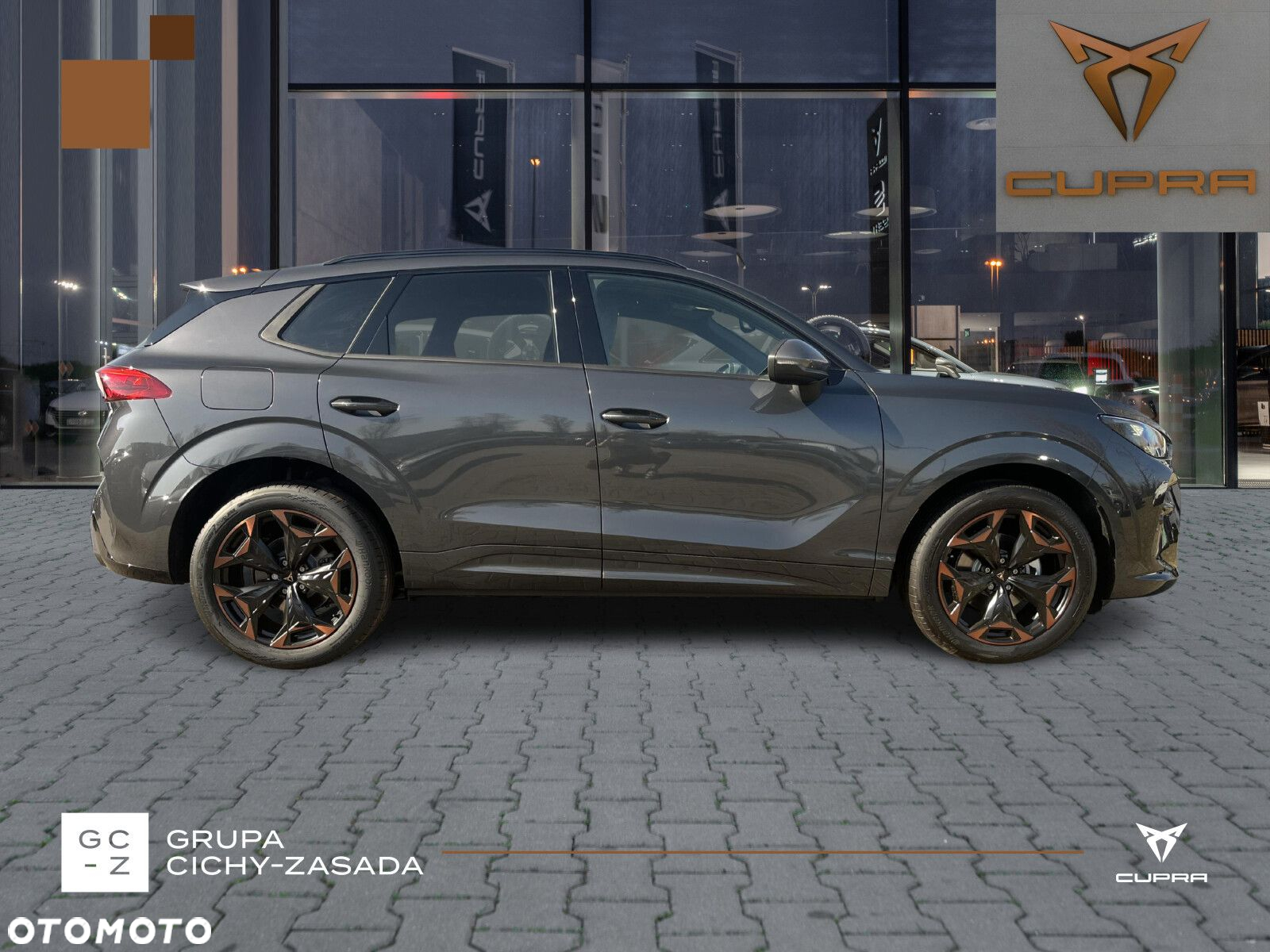 Cupra Terramar - 6