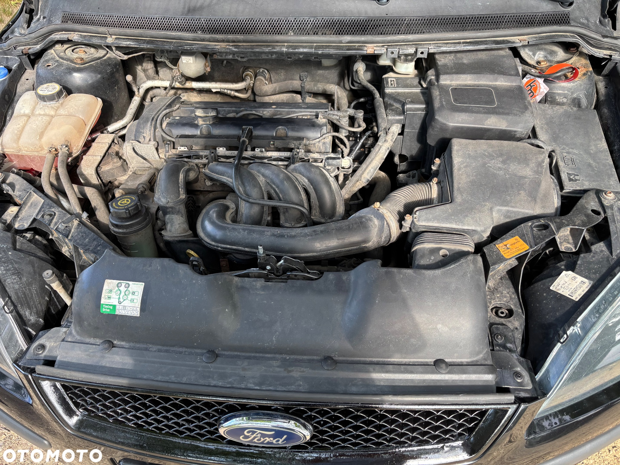 Ford Focus 1.6 FX Gold / Gold X - 21