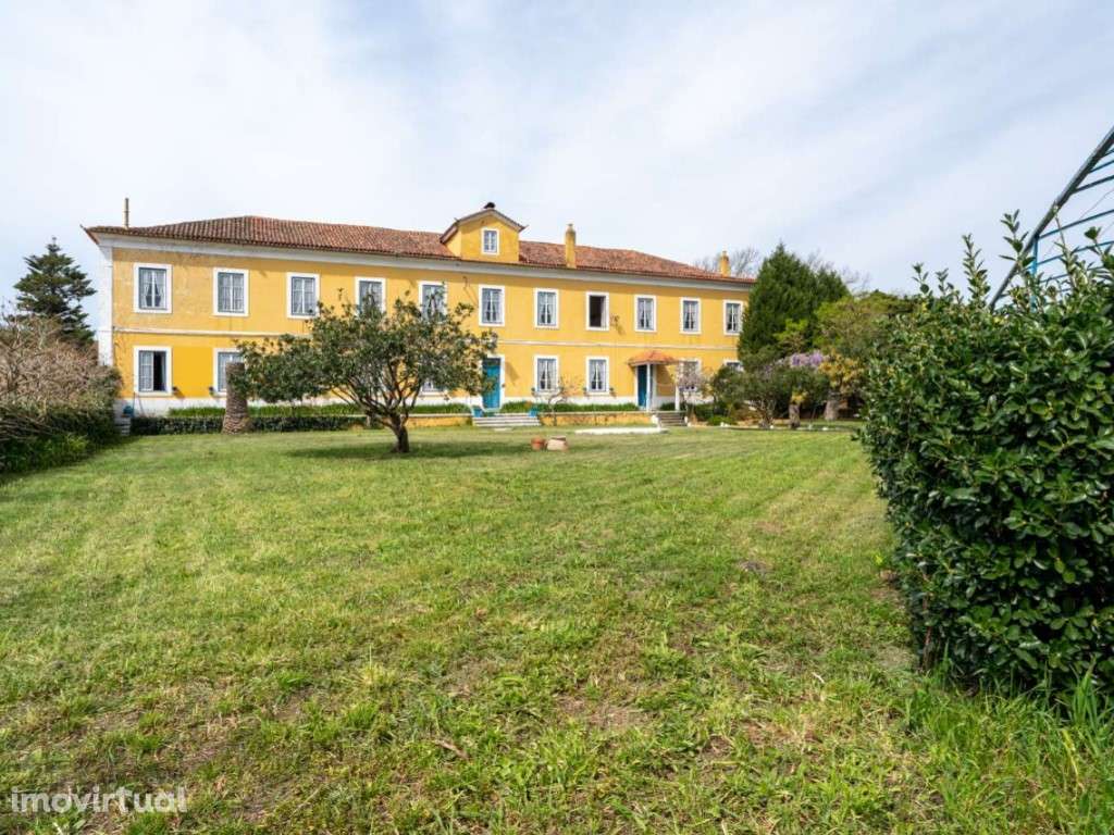 Quinta do Campo, 6 ha em Valado de Frades, Nazaré - Grande imagem: 4/60