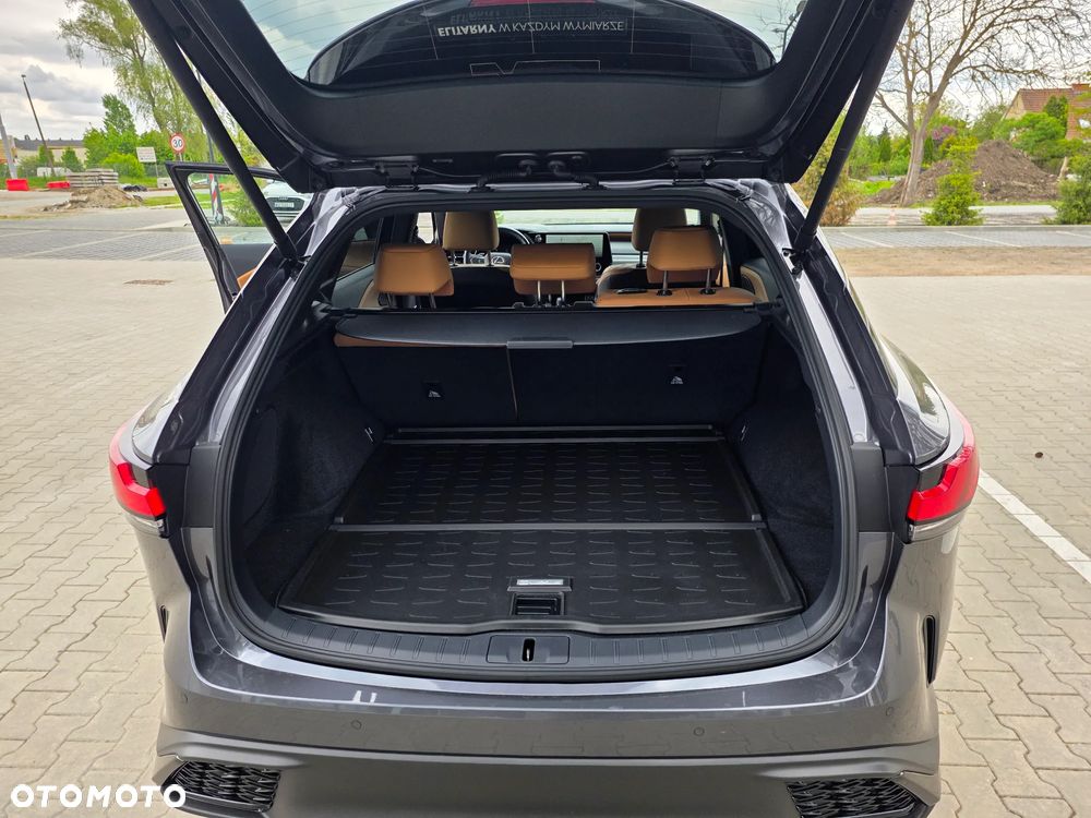Lexus RX 300 F Sport Edition - 13
