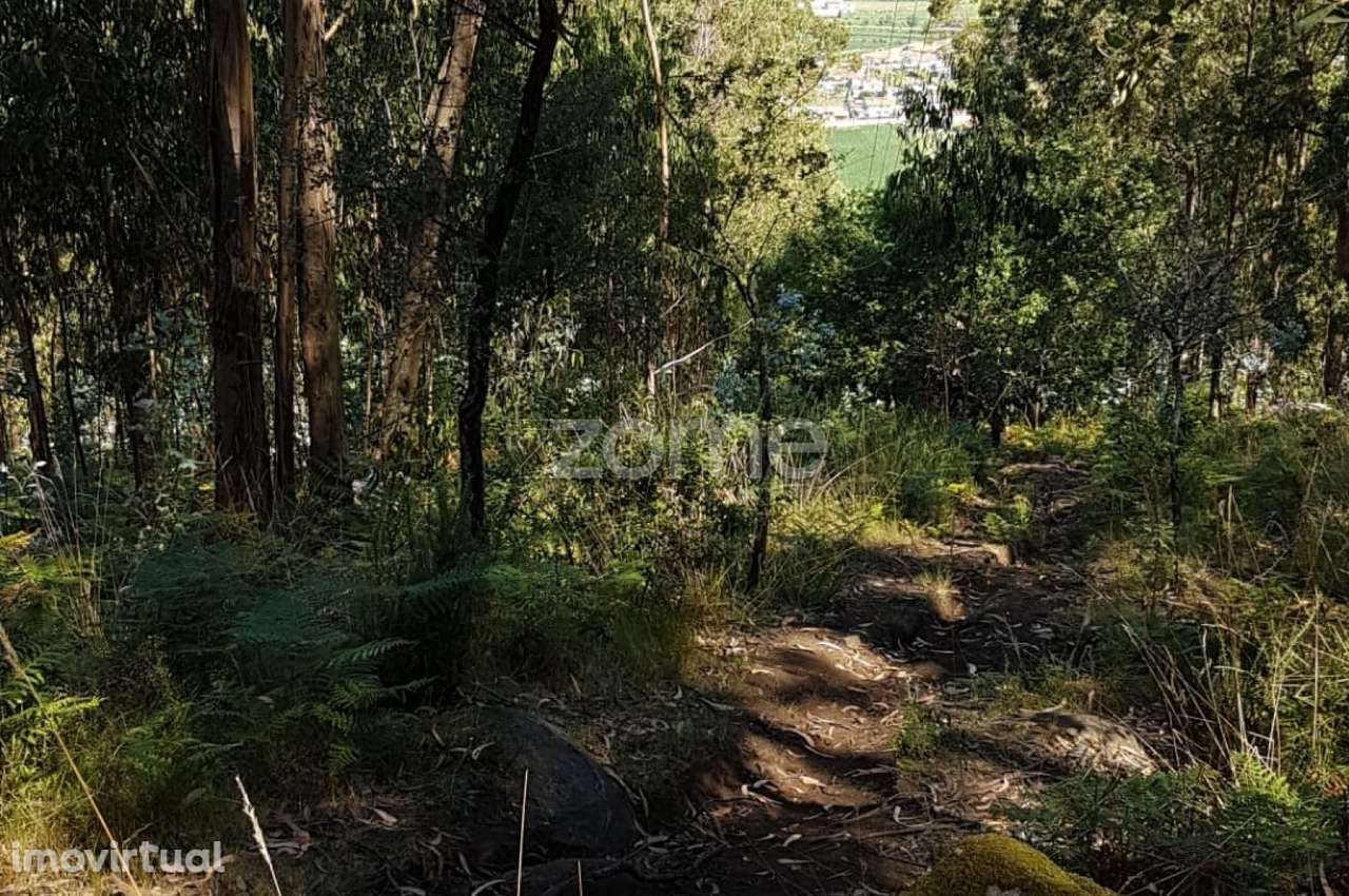 Terreno rústico - Grande imagem: 2/6