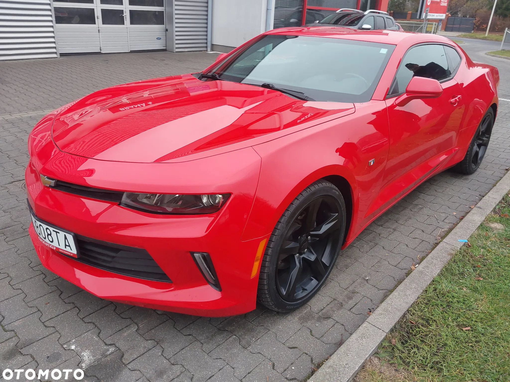 Chevrolet Camaro - 5