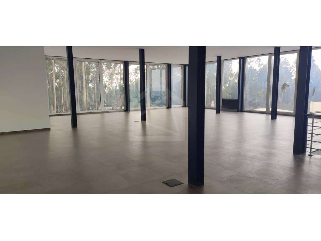 ARMAZÉM INDUSTRIAL NOVO LOUROSA - Grande imagem: 4/14