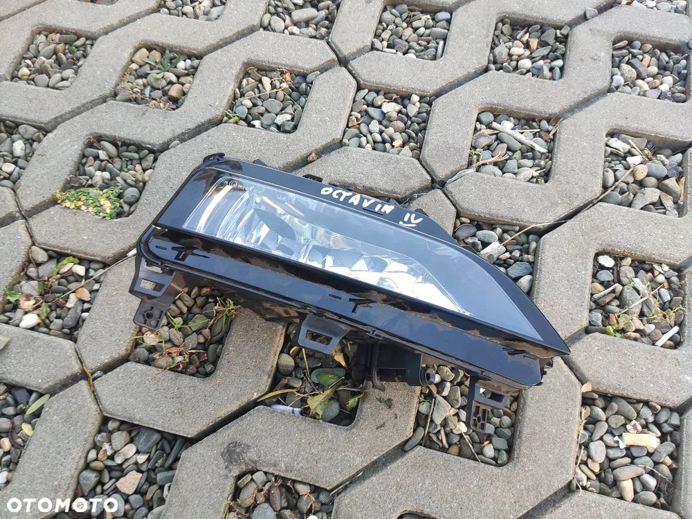 EU Halogen Prawy Przód Skoda Octavia IV 19- Zwykły 1205.002R - 1
