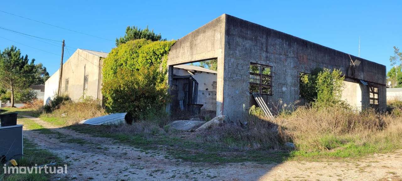 Armazém com terreno - Grande imagem: 5/12