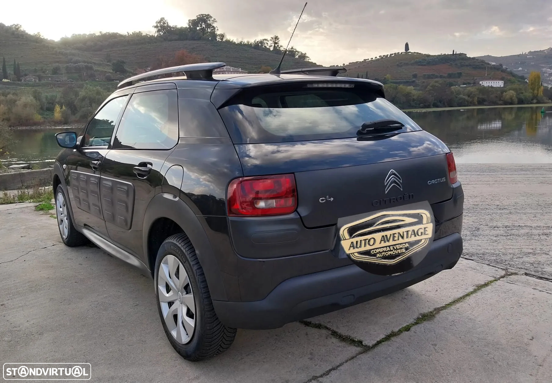 Citroën C4 Cactus 1.6 BlueHDi Shine - 19