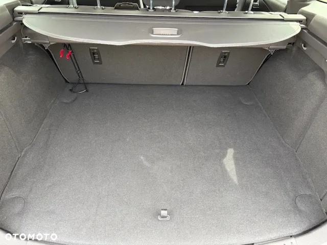Ford Focus - 19