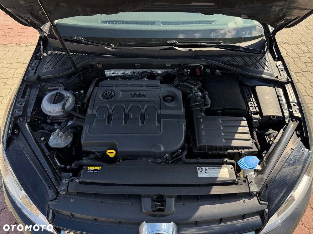 Volkswagen Golf - 11
