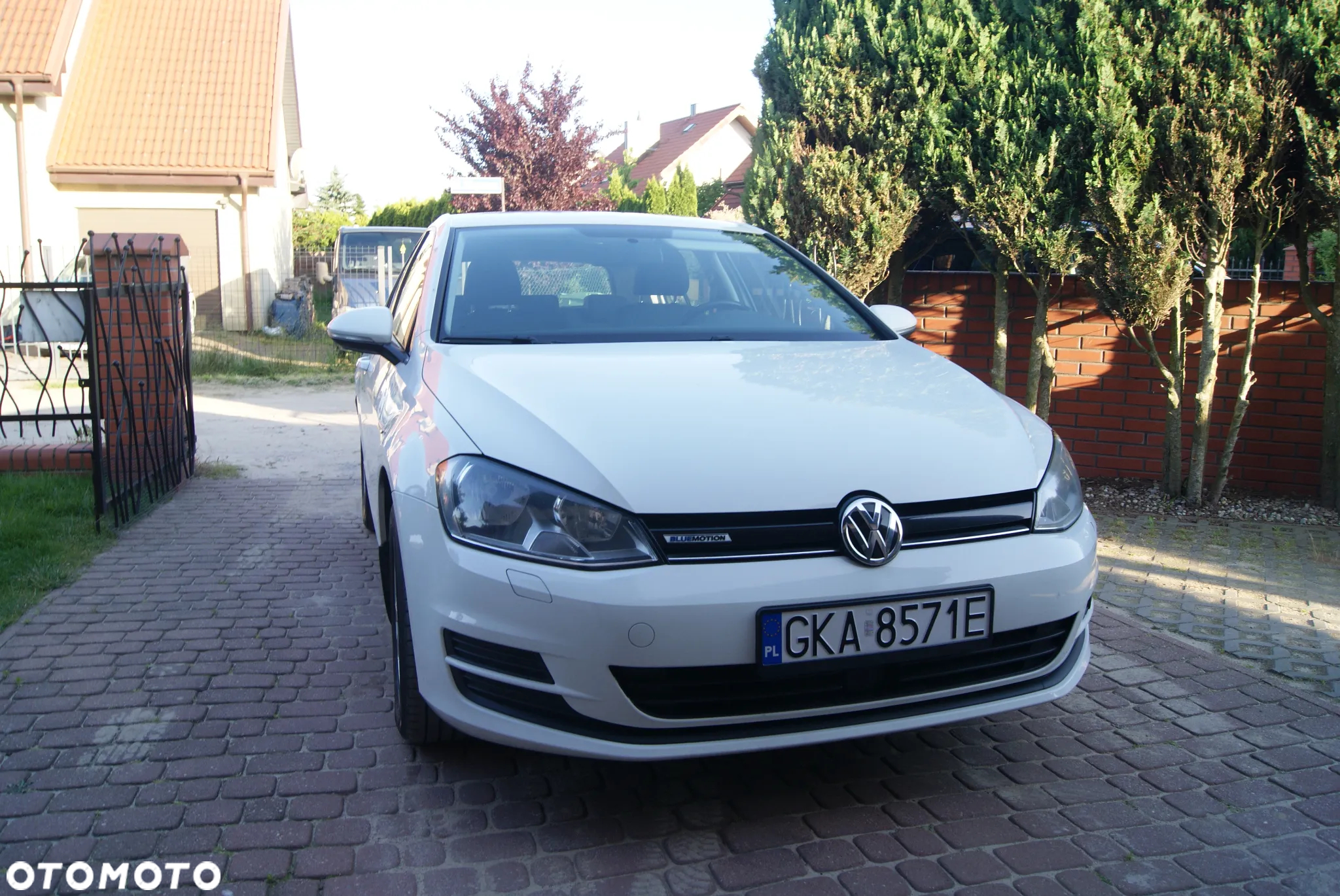Volkswagen Golf - 26