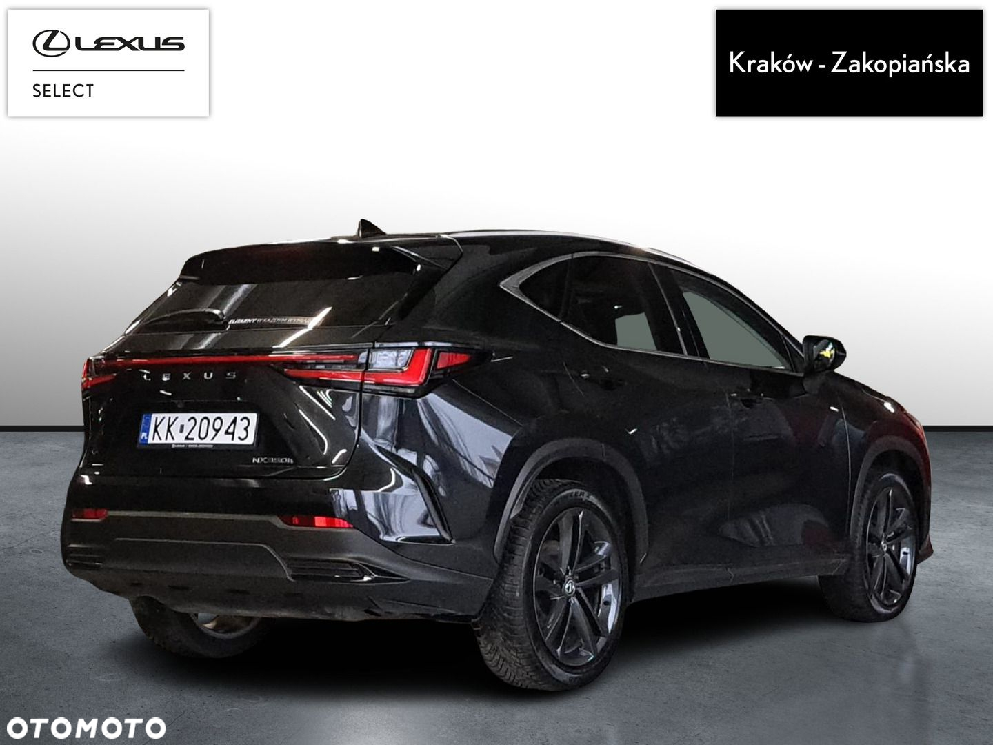 Lexus NX - 8