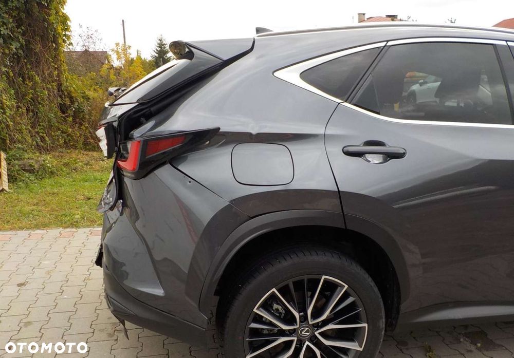Lexus NX - 18