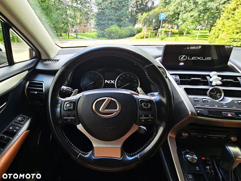 Lexus NX - 14