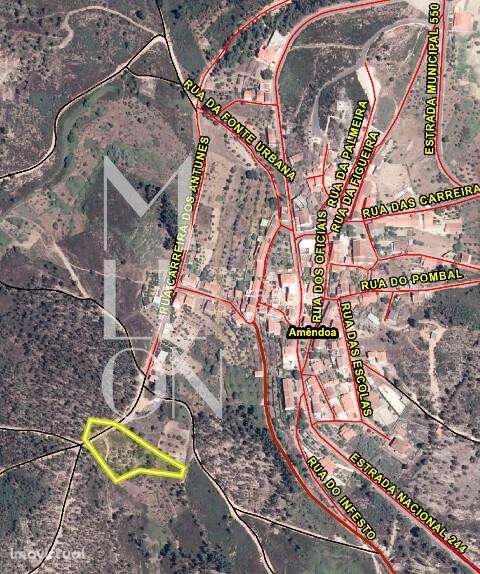 Terreno rústico à venda em Amêndoa, Mação - 4.240m2 - Grande imagem: 2/10