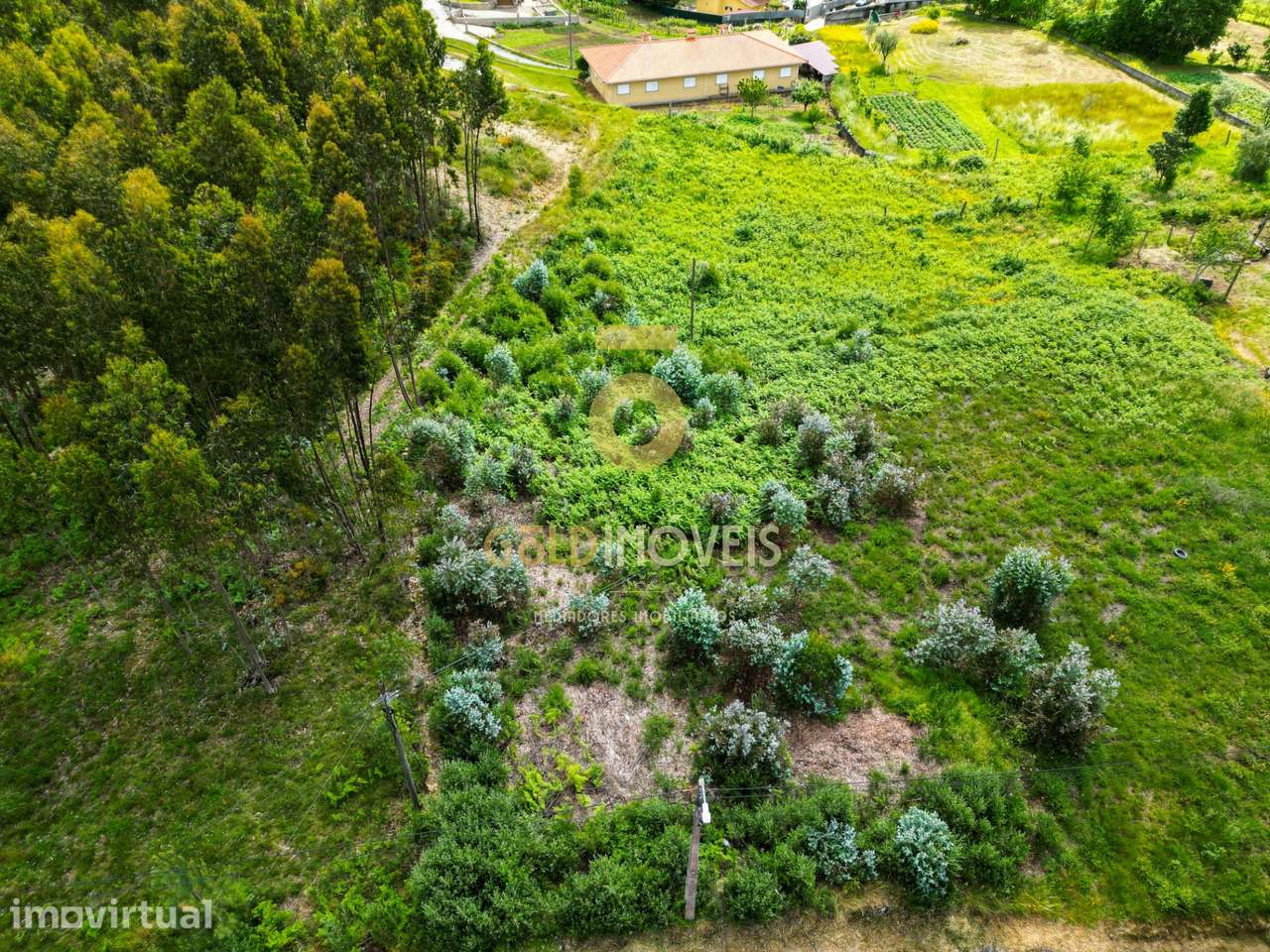 Terreno Para Construção  Venda em Santa Maria de Sardoura,Castelo de P - Grande imagem: 3/10