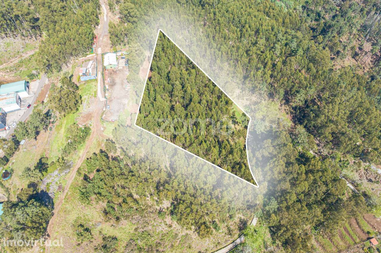 Terreno na Camacha - Grande imagem: 3/8