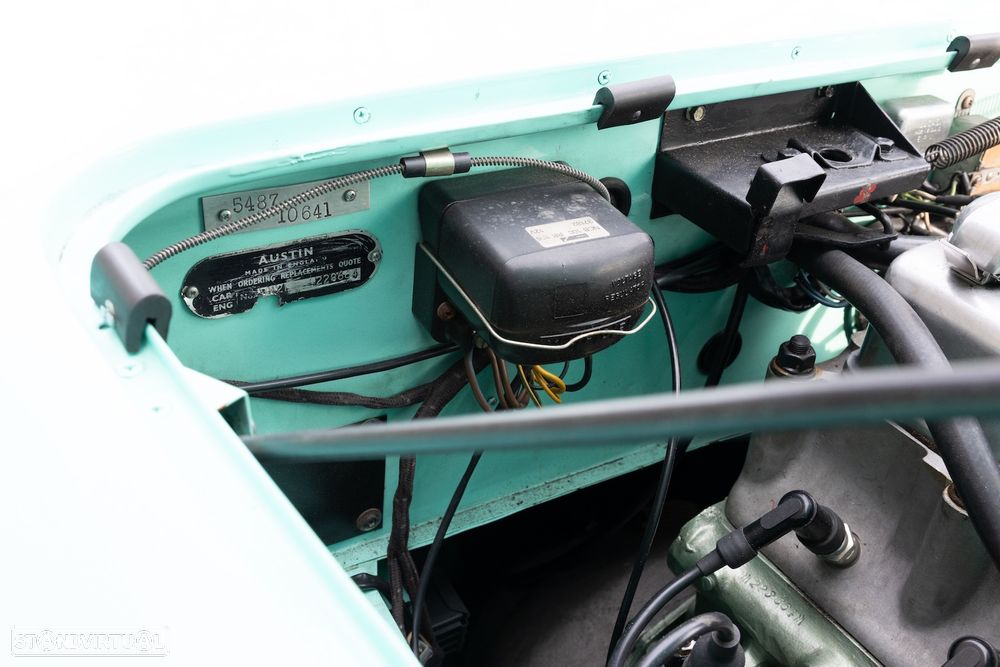 Austin Healey 100/4 - 8
