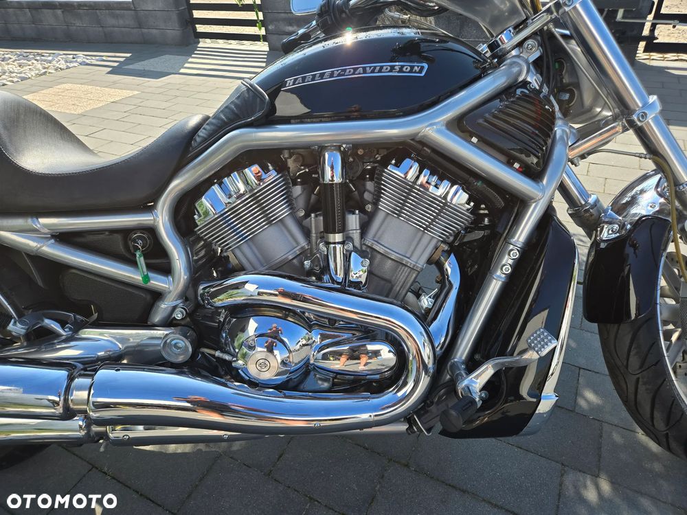 Harley-Davidson V-Rod Night Rod - 2