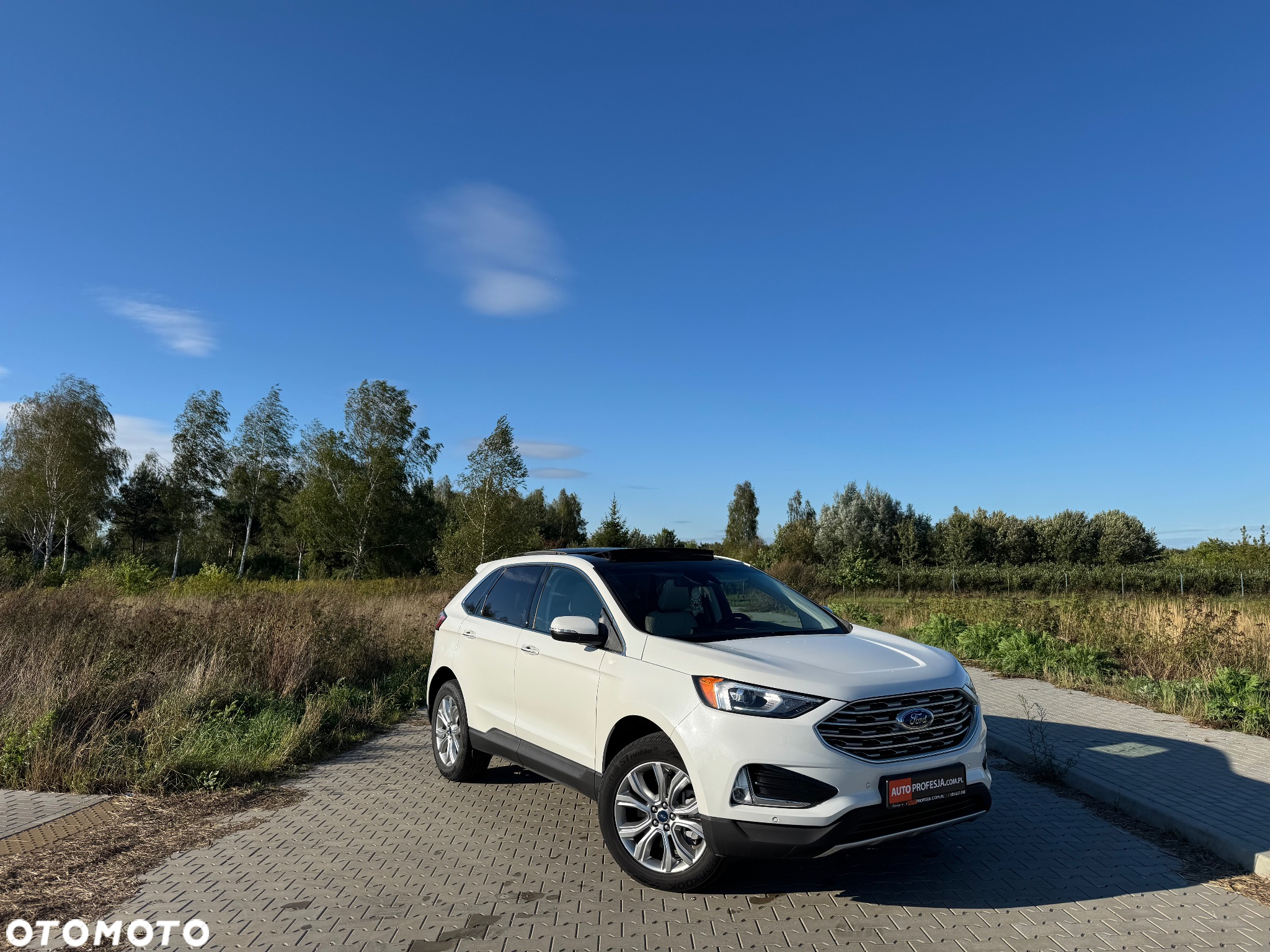 Ford Edge - 8
