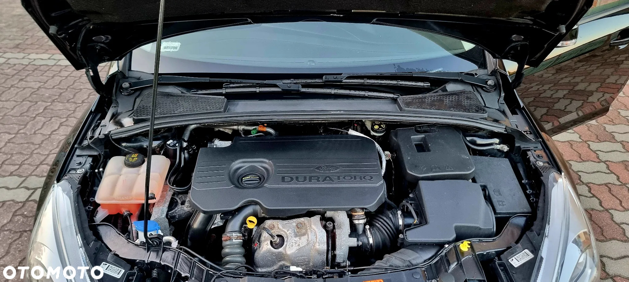 Ford Focus 1.5 TDCi Black Edition - 14
