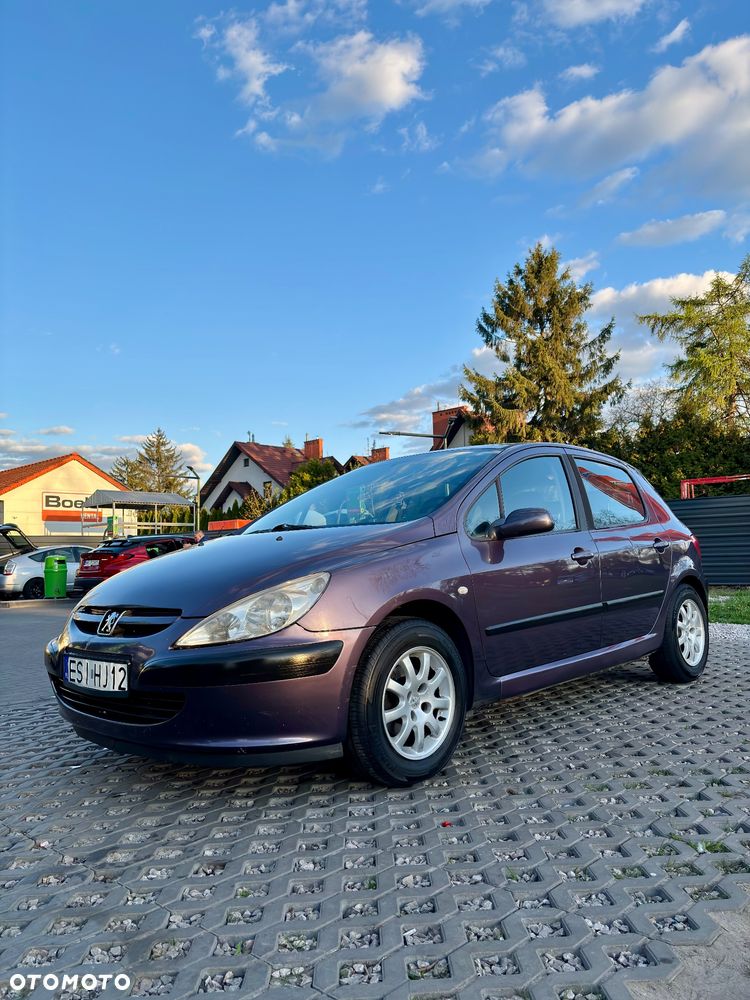 Peugeot 307 1.4 XS - 2