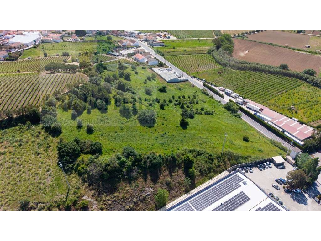 Terreno com mais de 2ha e viabilidade de construção - Grande imagem: 5/10