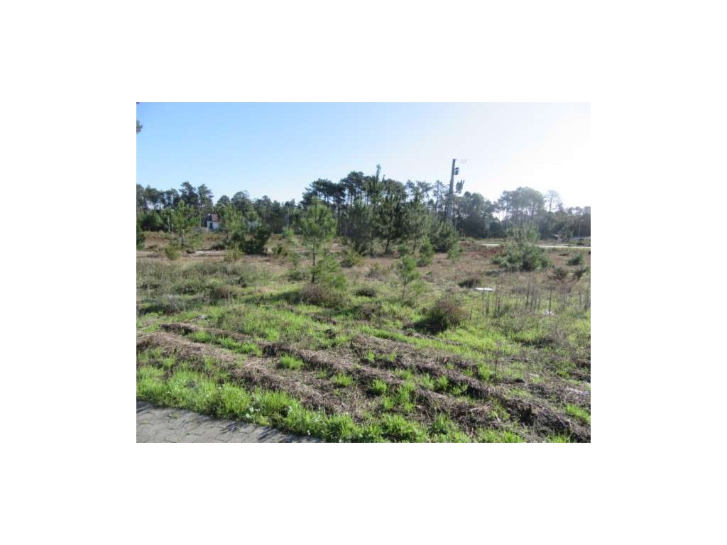 Lote urbano em Vieira de Leiria - Grande imagem: 3/3
