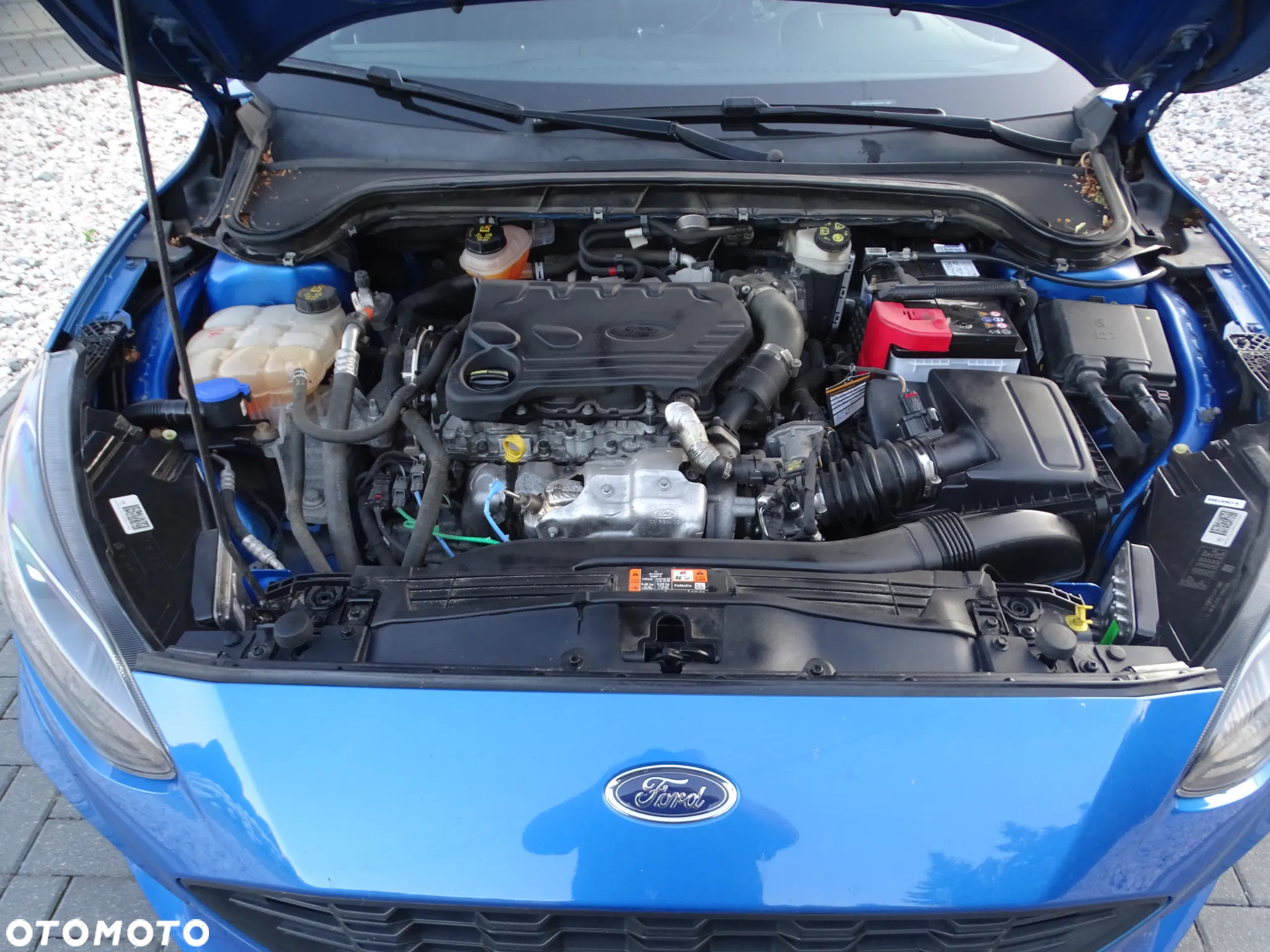 Ford Focus 1.5 EcoBlue Start-Stopp-System ST-LINE DESIGN - 11