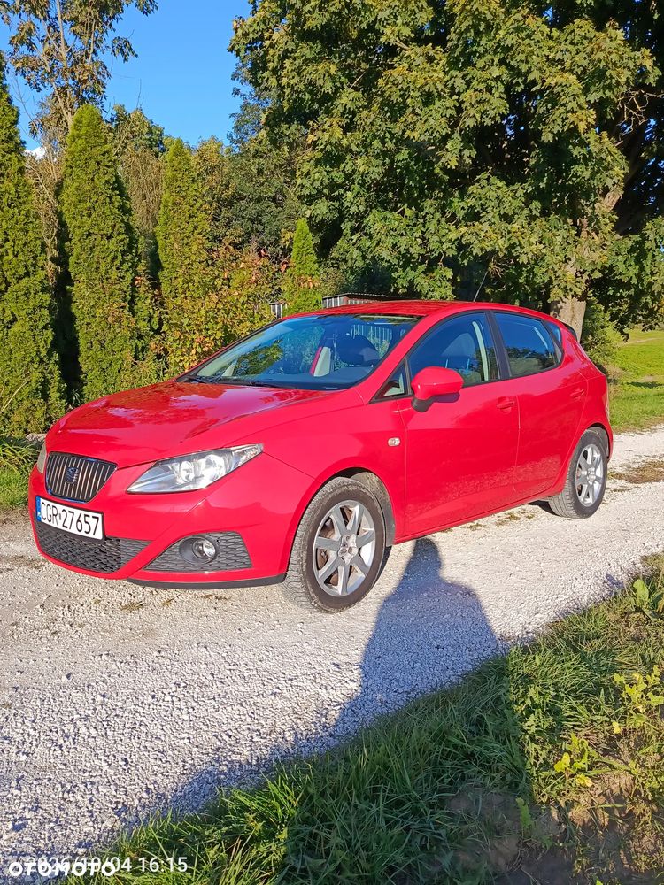 Seat Ibiza 2011 photo 2