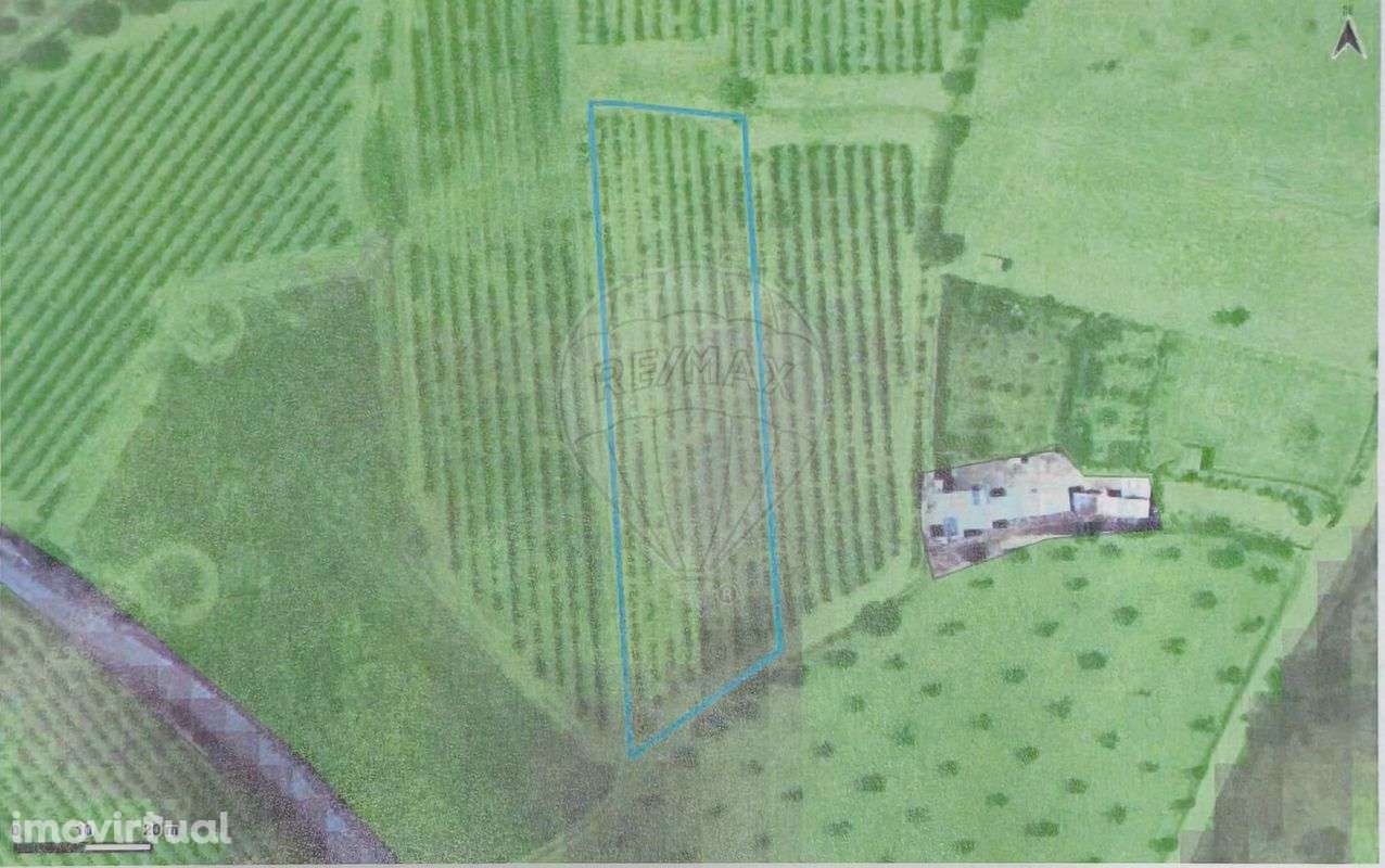 Terreno  para venda - Grande imagem: 3/6