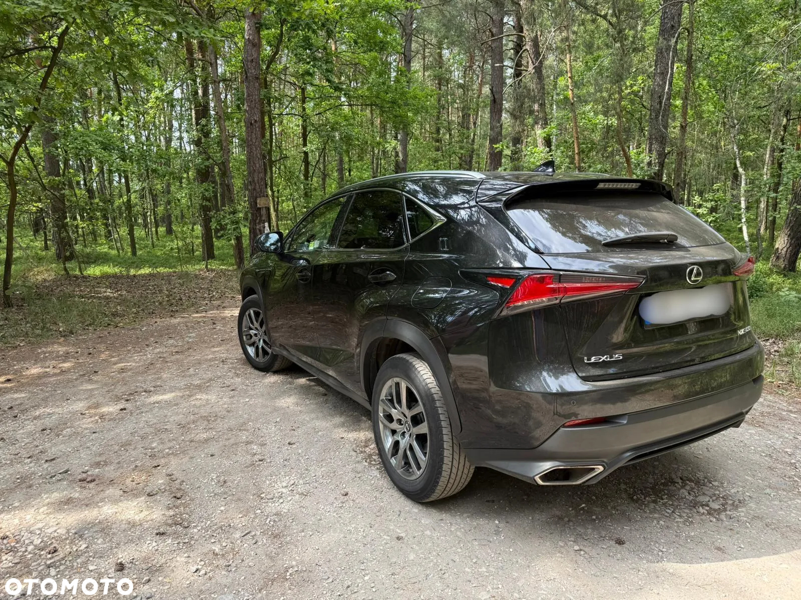 Lexus NX 300 Comfort AWD - 6