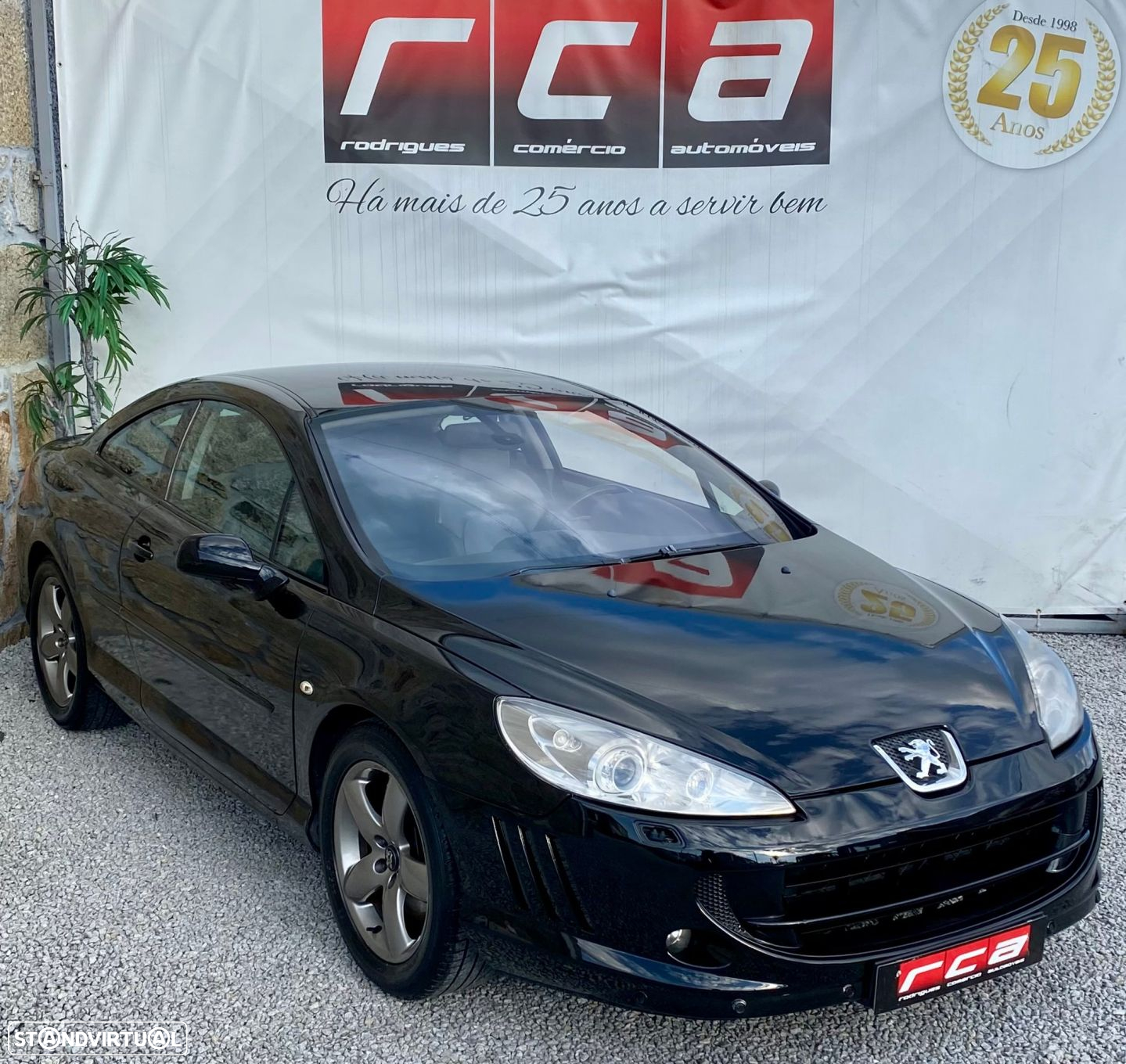 Peugeot 407 - 25