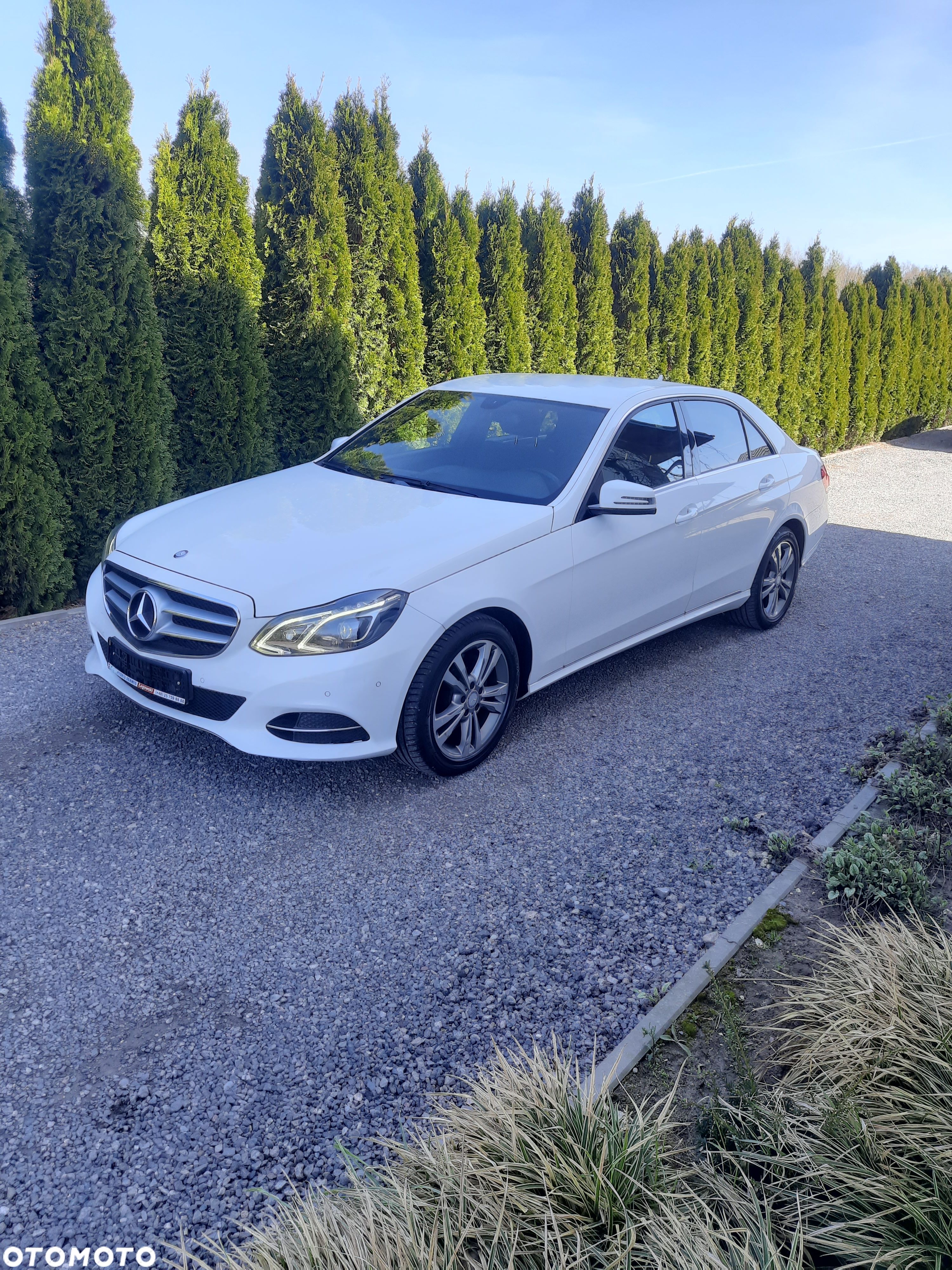 Mercedes-Benz Klasa E 300 T BlueTEC HYBRID 7G-TRONIC - 1