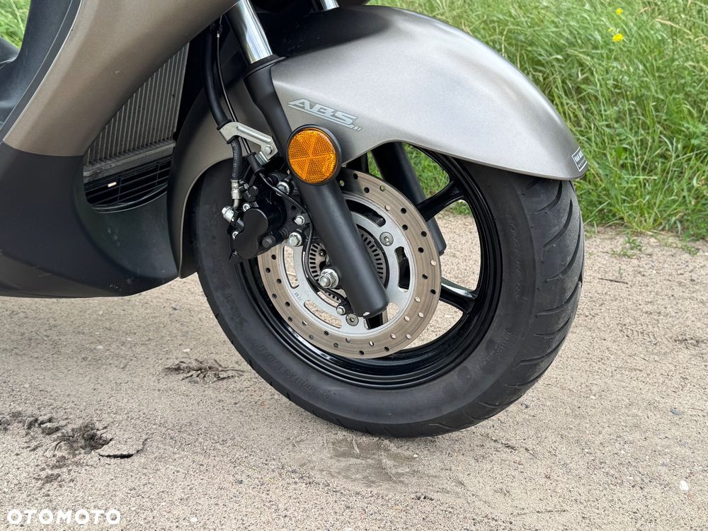 Suzuki Burgman - 6