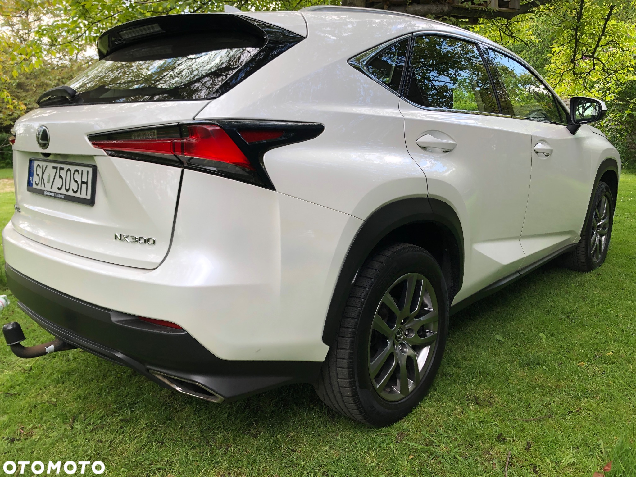 Lexus NX 300 Business Edition AWD - 3