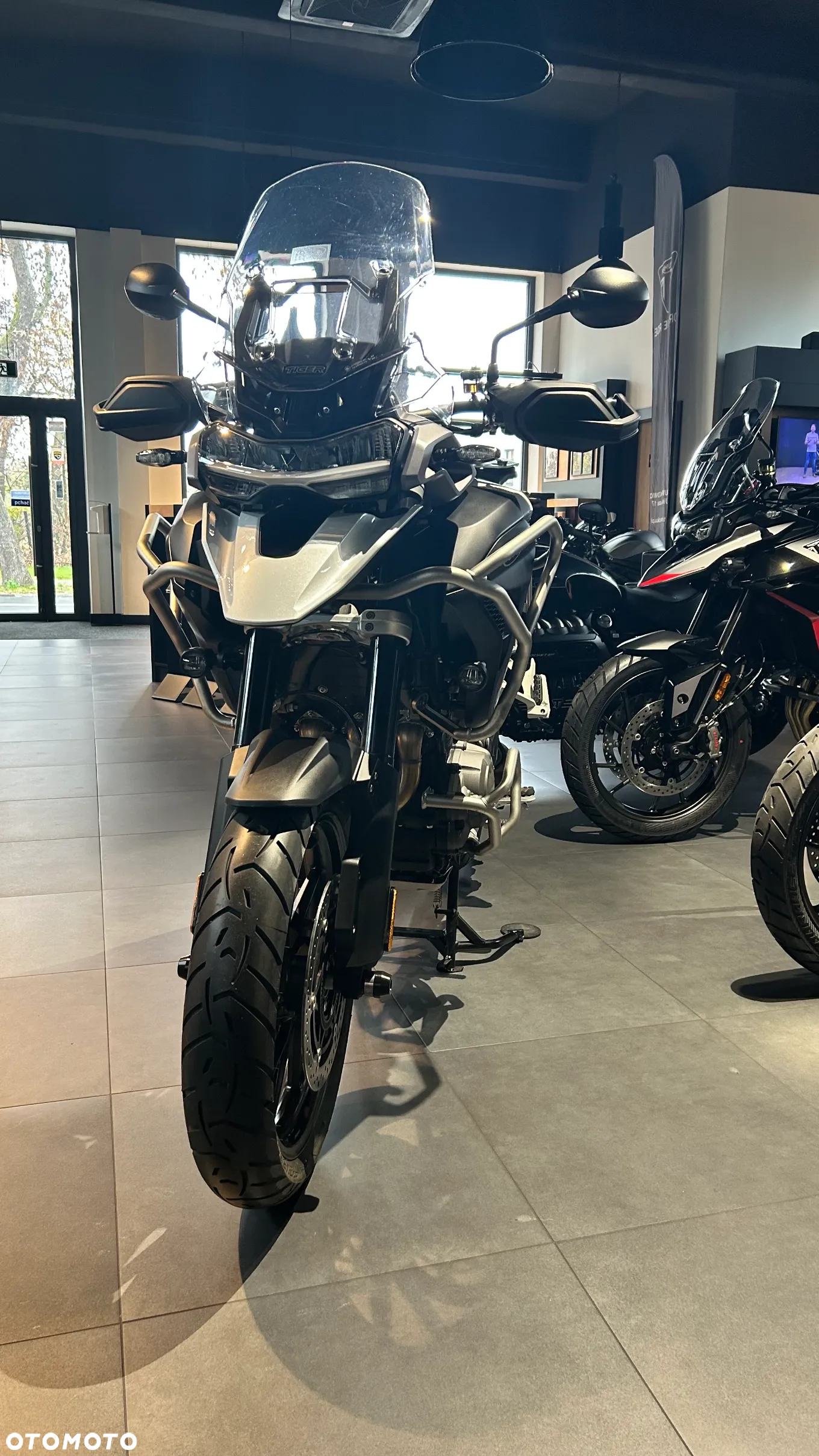 Triumph Tiger - 5